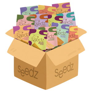 Caixa Biscoitos Salgados seedz, variedade fit sem glúten