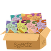 Kit Degustação Salgados seedz, crackers e grissinis sem glúten para experimentar
